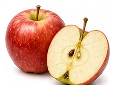 Apple harvest / detail