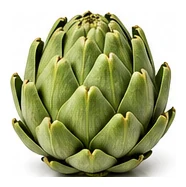 Artichoke harvest / detail
