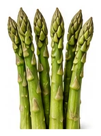 Asparagus harvest / detail