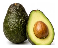 Avocado harvest / detail