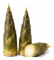 Bamboo harvest / detail