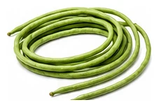 Bean, Snake harvest / detail