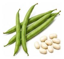 Beans harvest / detail