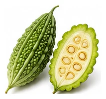 Bitter Melon harvest / detail