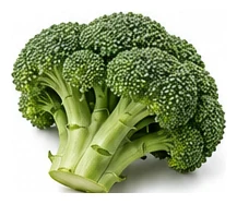 Broccoli harvest / detail