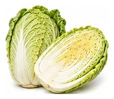 Cabbage, Wombok harvest / detail