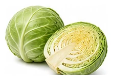 Cabbage harvest / detail