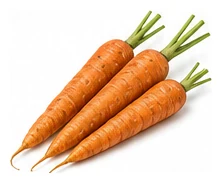 Carrot harvest / detail