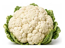 Cauliflower harvest / detail