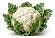 Cauliflower whole plant