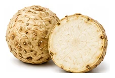 Celeriac harvest / detail