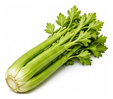 Celery harvest / detail