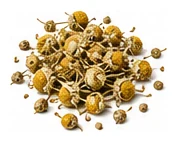 Chamomile, Annual harvest / detail