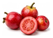 Cherry Guava harvest / detail