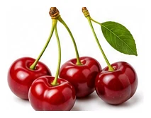 Cherry harvest / detail