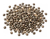 Chia harvest / detail