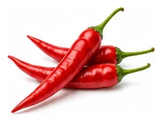 Chilli Pepper harvest / detail