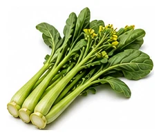 Choy Sum harvest / detail