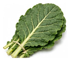 Collards harvest / detail