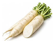 Daikon Radish harvest / detail