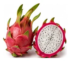 Dragon Fruit harvest / detail