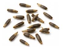 Echinacea harvest / detail