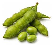 Edamame harvest / detail