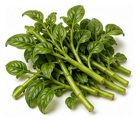 Egyptian Spinach harvest / detail