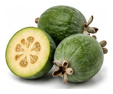 Feijoa harvest / detail