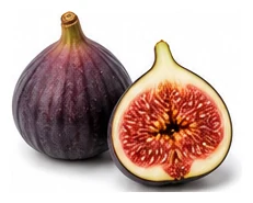 Fig harvest / detail