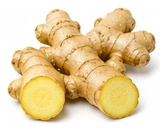 Ginger harvest / detail