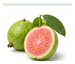 Guava harvest / detail