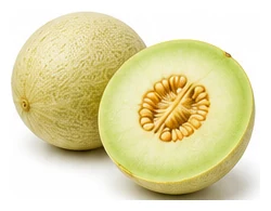 Honeydew Melon harvest / detail