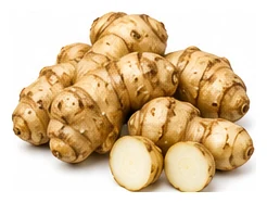 Jerusalem Artichoke harvest / detail
