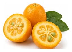 Kumquat harvest / detail