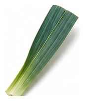 Leek leaf detail