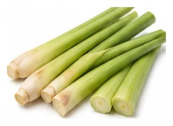 Lemongrass harvest / detail