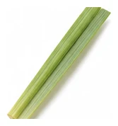 Lemongrass leaf detail
