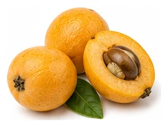Loquat harvest / detail