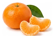 Mandarin harvest / detail