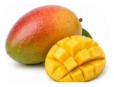 Mango harvest / detail