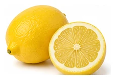 Meyer Lemon harvest / detail