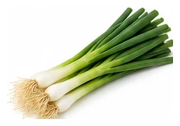 Onion, Bunching harvest / detail