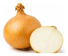 Onion harvest / detail