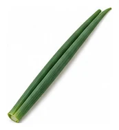Onion leaf detail