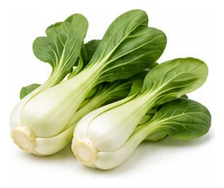 Pak Choy harvest / detail