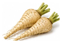 Parsnip harvest / detail