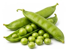 Peas harvest / detail