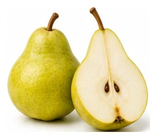 Pear harvest / detail