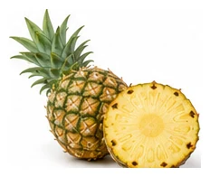 Pineapple harvest / detail